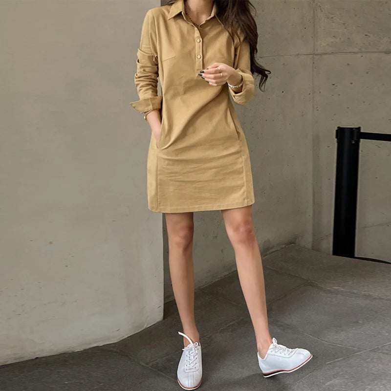 Summer Long Sleeve Mini Dress