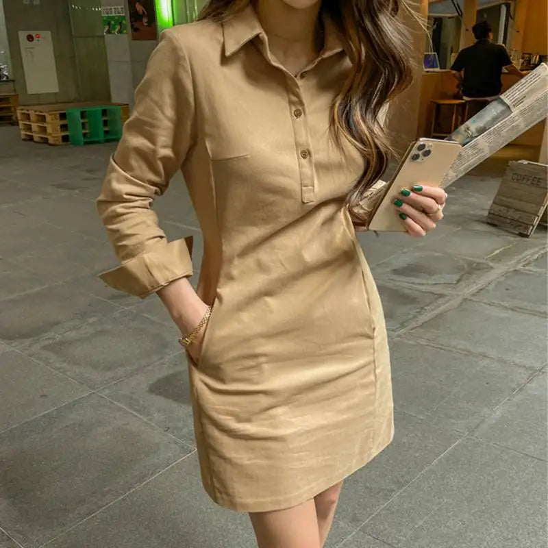 Summer Long Sleeve Mini Dress
