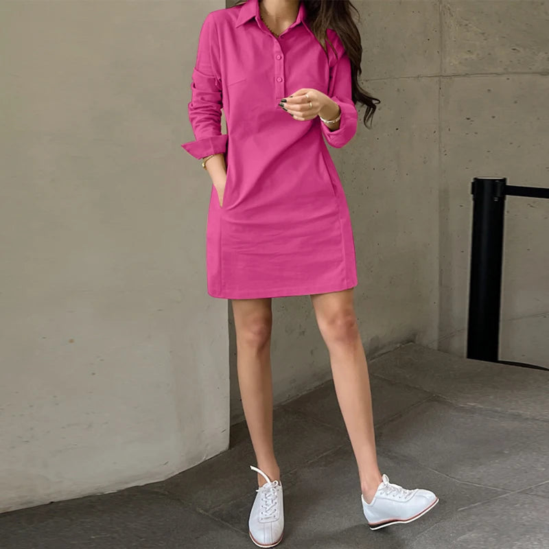 Summer Long Sleeve Mini Dress