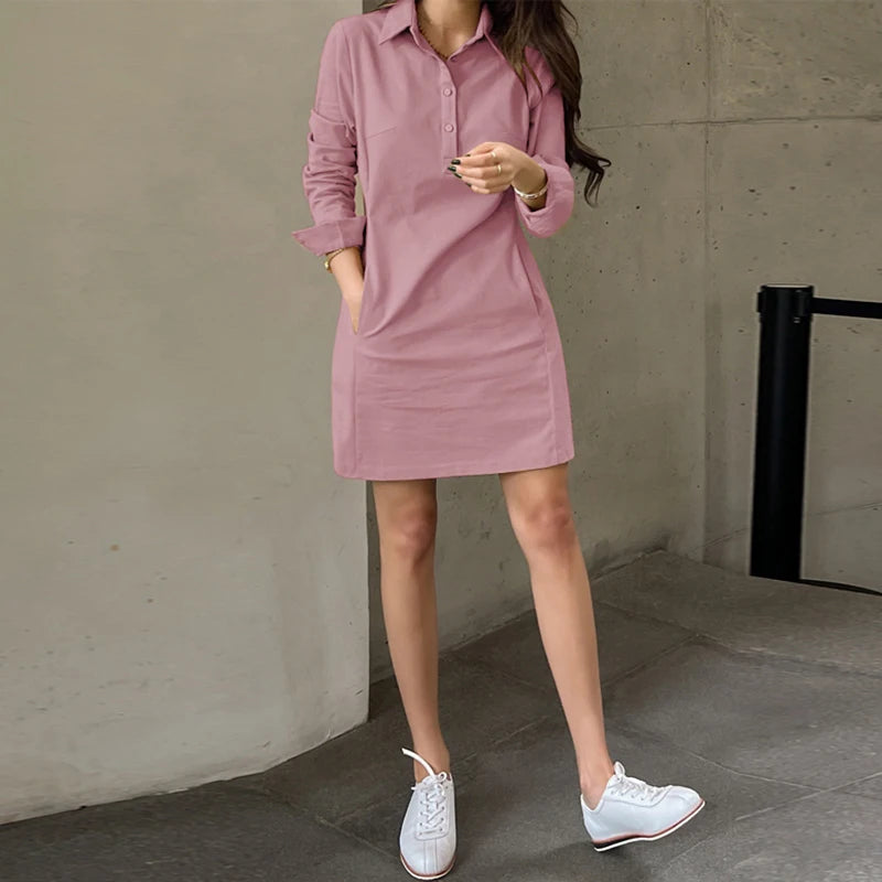 Summer Long Sleeve Mini Dress