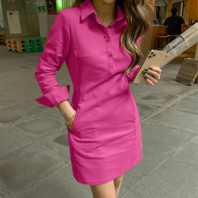 Summer Long Sleeve Mini Dress